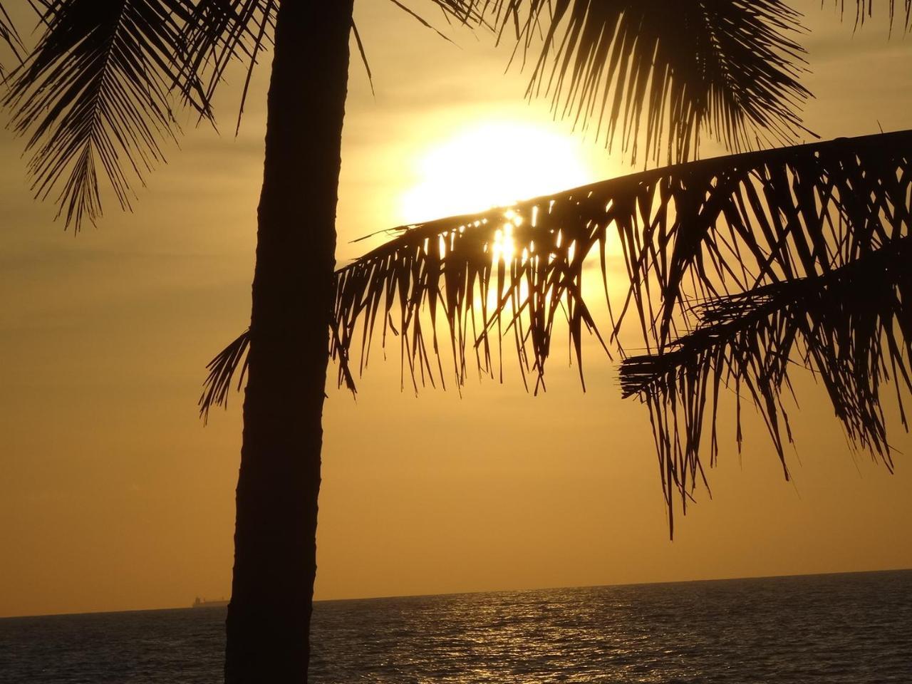 Amssler Beach Stay Kalutara Eksteriør bilde